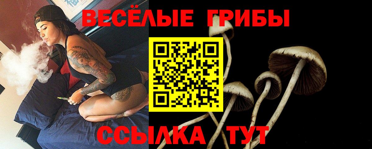 Волжский  Галлюциногенные грибы ЛСД  Псилоцибиновые грибы Psilocybine cubensis  Вход с VPN 